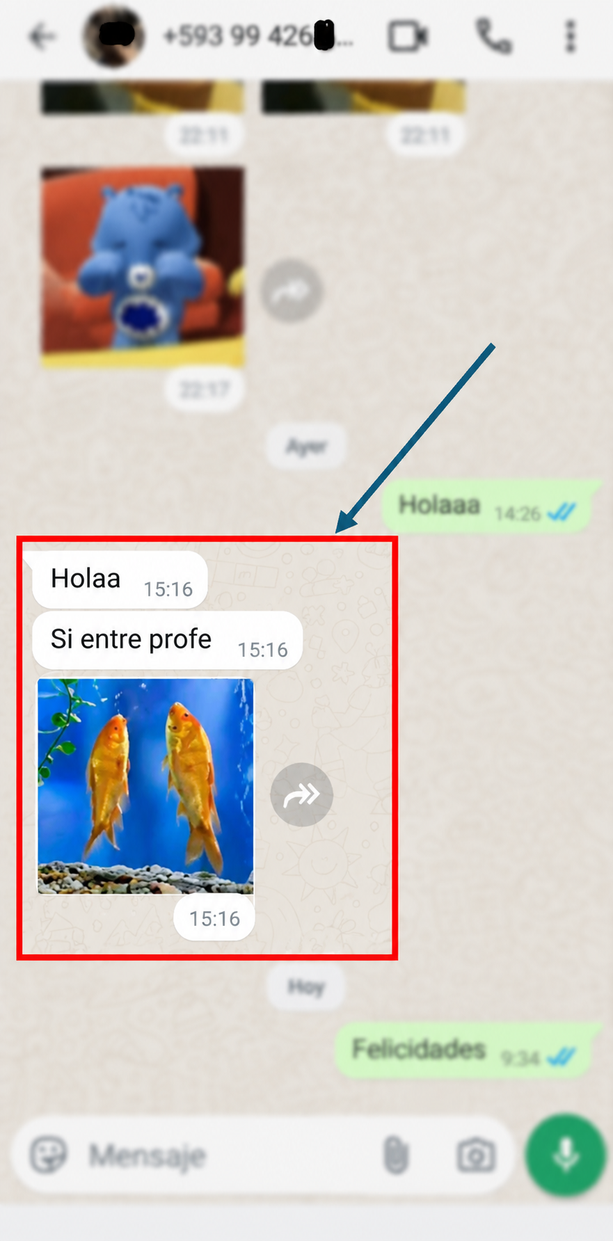 Testimonio de estudiante LEONPROL 6